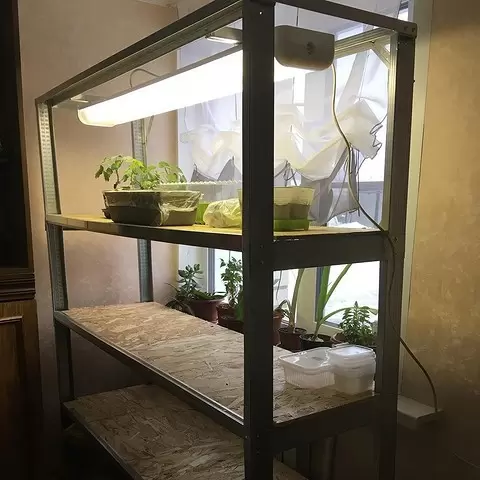 Стелаж: зелень на підвіконні Дерев'яний стелаж для розсади на підвіконні, економія місця своїми руками (2026)