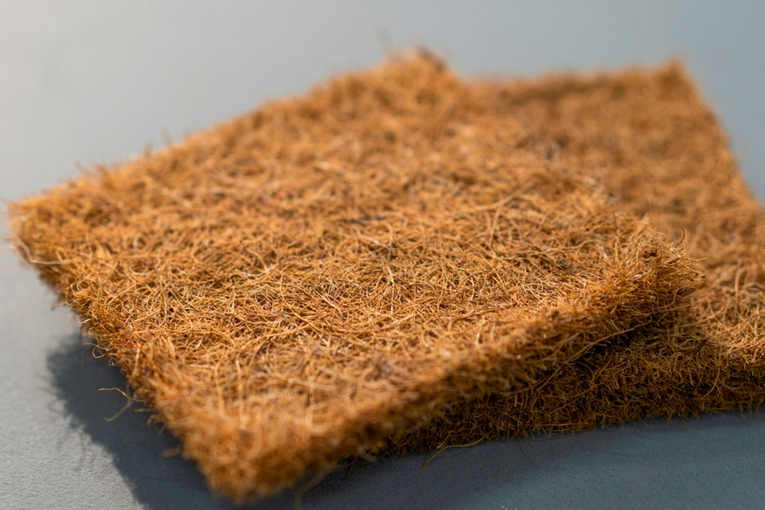 Кокосова койра в матрацах: натуральна жорсткість та екологічність Плита з кокосової койри, що використовується в матрацах для надання жорсткості