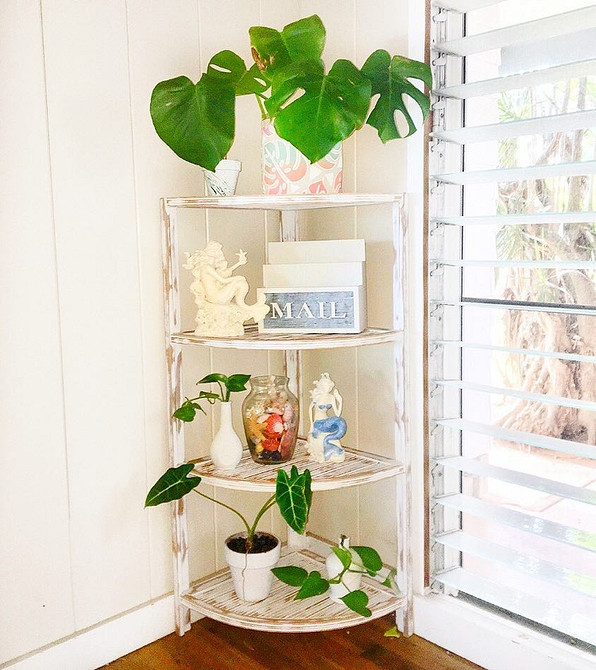 Кутові полиці на кухні Функціональні кутові полиці для кухні, зручне рішення для зберігання посуду та спецій у 2026