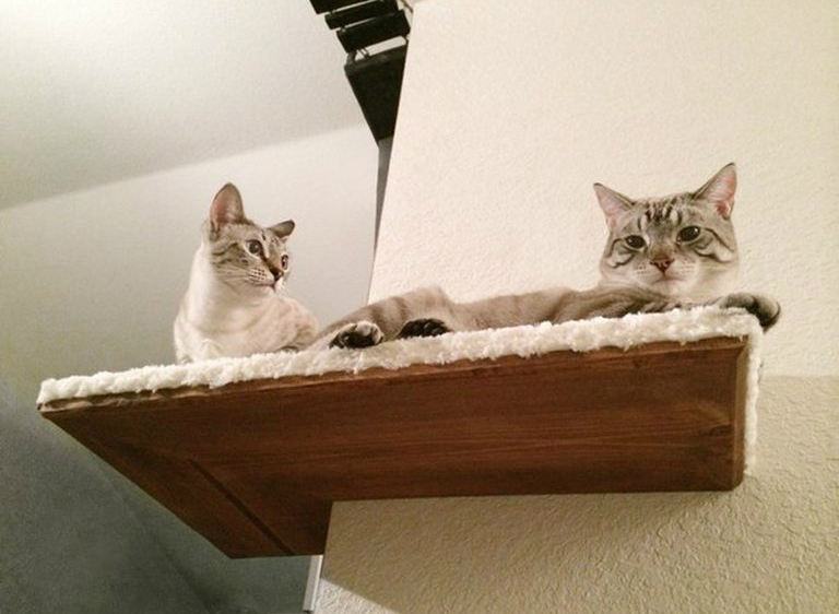 Кутова полиця для кота Кутова полиця-лежанка для кота, зручне місце для відпочинку в 2026 році